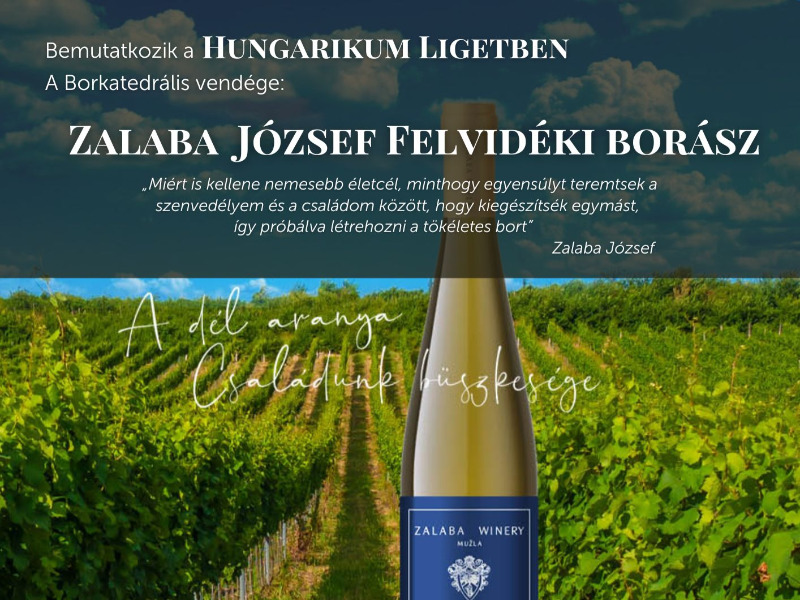 Zalaba József - Felvidéki borász borestje a Borkatedrálisban