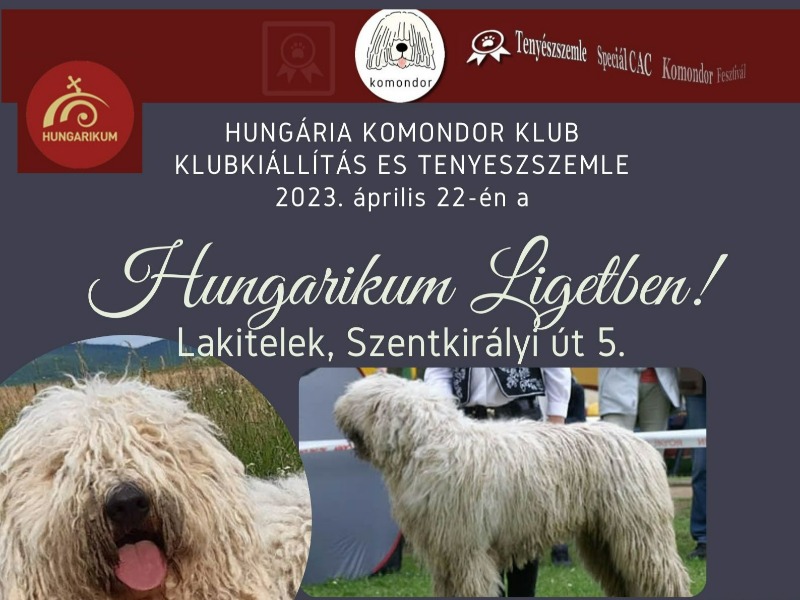Komondor Klubkiállítás