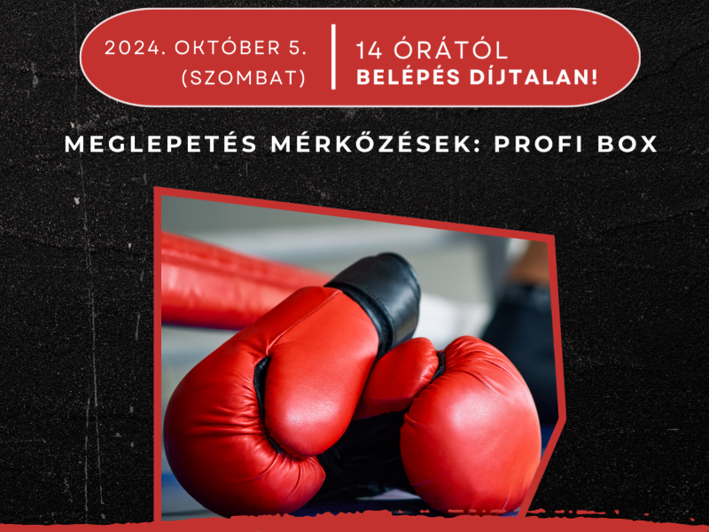 I. Hungarikum Liget Kupa Ökölvívó Bajnokság