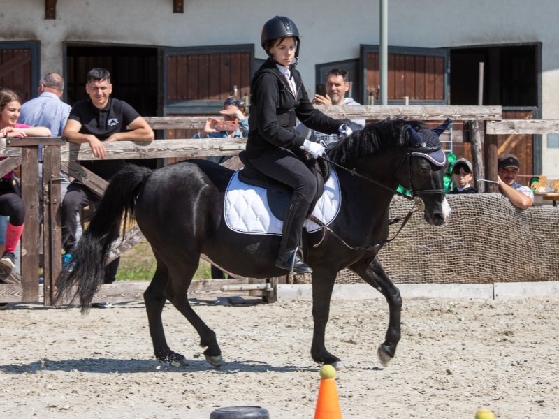 Karácsonyi szabadidő lovas verseny