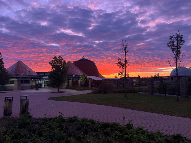 Körbevezetések novemberben a Hungarikum Ligetben