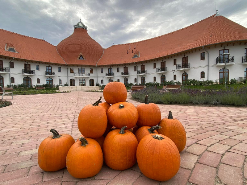 Őszi szünet programok
