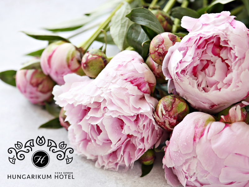 Pünkösdi programok