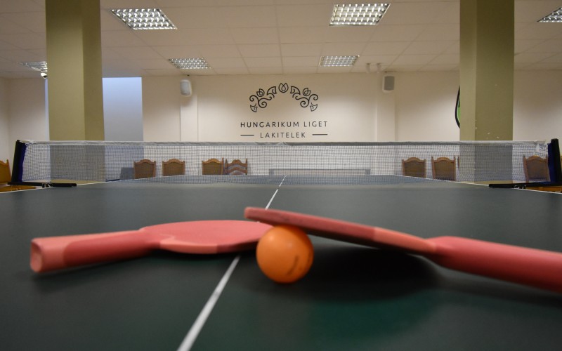 Ping pong in the Hotel Club Tisza