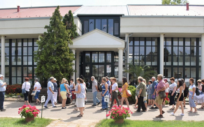 Guided tour in the Hungarikum Liget 