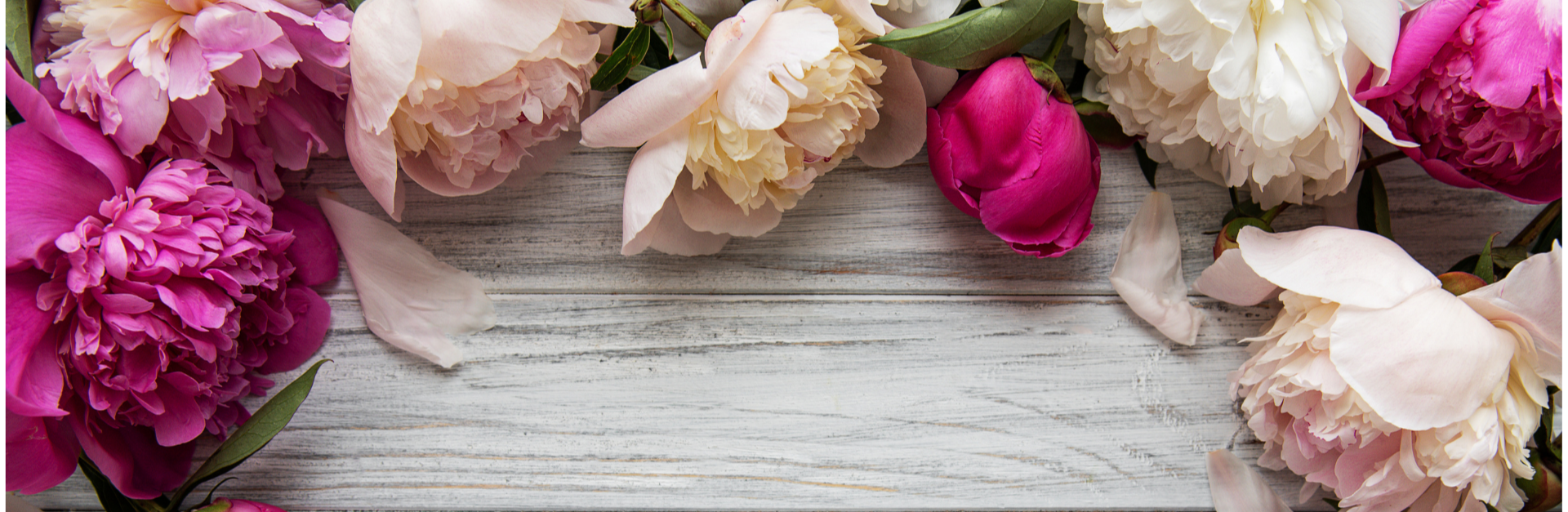 Pünkösdi pillanatok