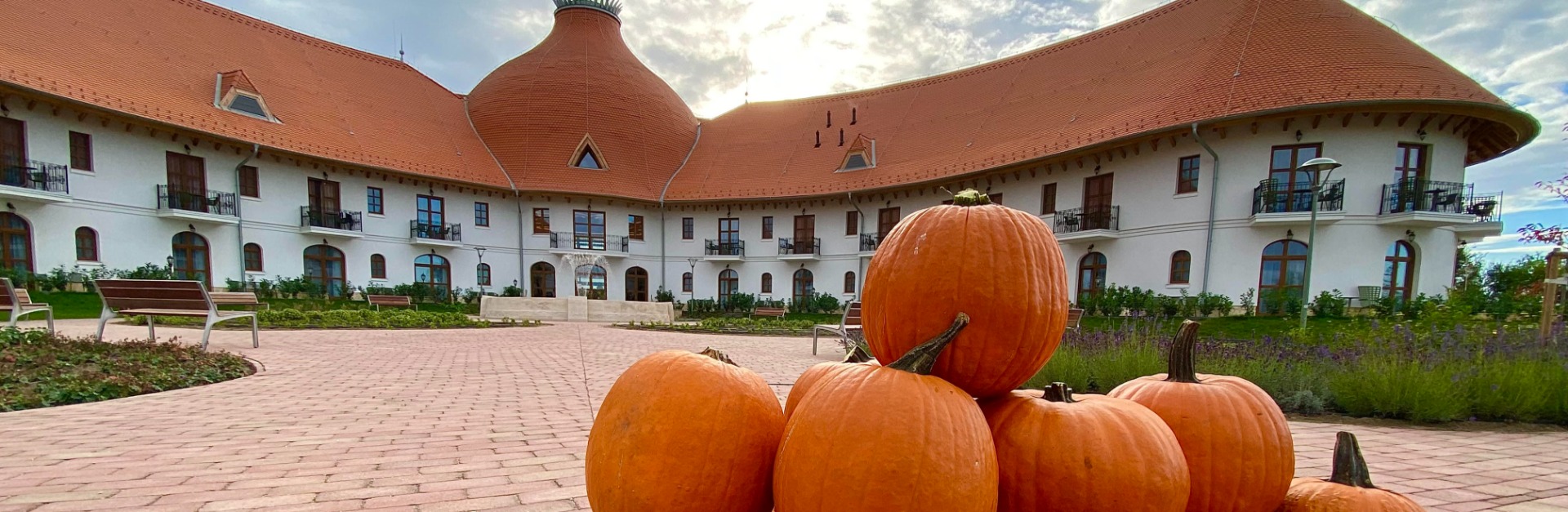 Őszi programok 2023