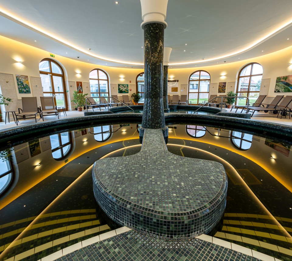 Hungarikum Hotel - Kamillavirág Wellness (15)