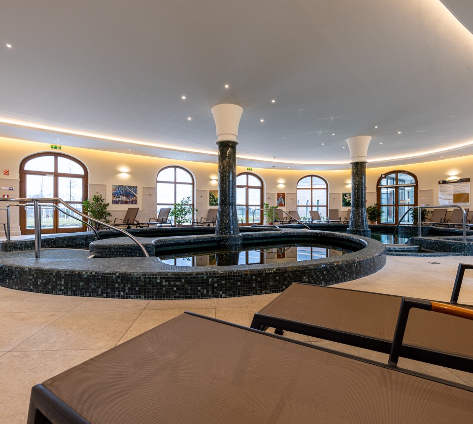 Hungarikum Hotel - Kamillavirág Wellness (4)