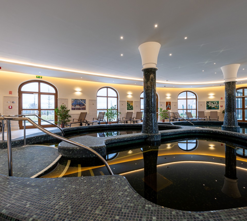 Hungarikum Hotel - Kamillavirág Wellness (6)